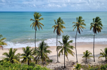 Visão geral de praia, com água limpa, ondas quebrando e coqueiros no litoral do estado da Paraíba, Brasil.