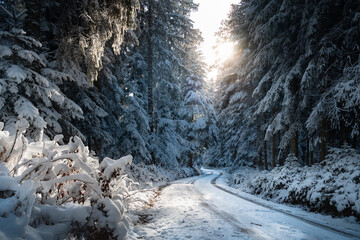 Weg der in den tief verschneiten Wald hineinführt, Winter, Schwarzwald, Seewald,...