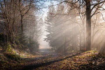 Durchbruch der Sonnenstrahlen im Schwarzwald, Baiersbronn, Baden-Württemberg, Deutschland