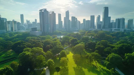 Foto op Aluminium Public park and high-rise buildings cityscape in metropolis city center. Green environment city and downtown business district in panoramic view. © Santy Hong