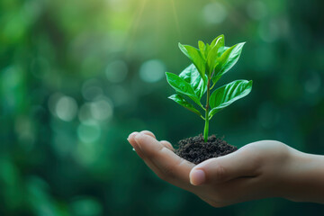 Sustainability and ESG Focus: Environmental, Social, and Governance (ESG) considerations may become even more central to business strategies - obrazy, fototapety, plakaty
