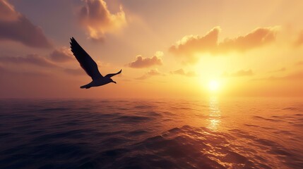 Fototapeta na wymiar Bird flying sunset flight inspirational 