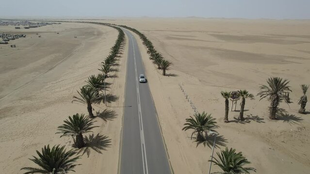 Asphalt road in the namibia desert with palm trees on the sides