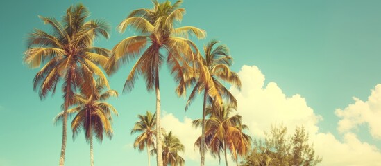 Tropical paradise with a group of lush green palm trees swaying in the breeze under clear blue sky - Powered by Adobe