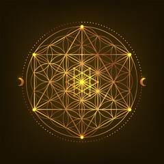 Sacred Geometry Symbol. Vector illustration. Mystic esoteric Flower of Life. Golden Seed of life. Mandala lotus flower