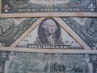 Dollar Bills