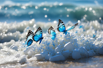 butterflies fly near the sea , splashes of waves and white pebbles