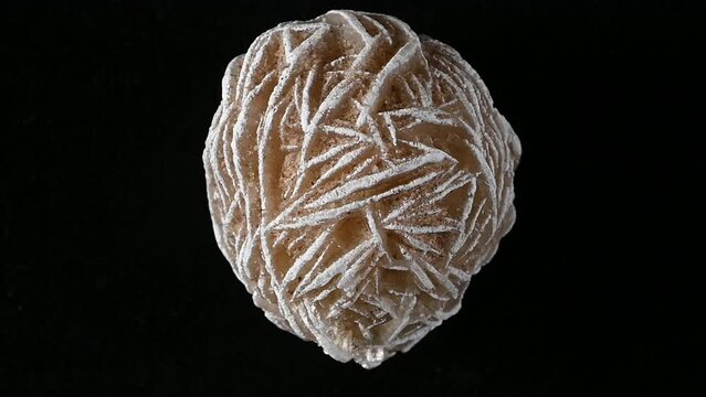 'Desert Rose' - Baryte (barium sulphate) rotating slowly against a black background