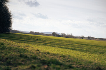 Von Schneeglöckchen, mooren und weidenkätzchen