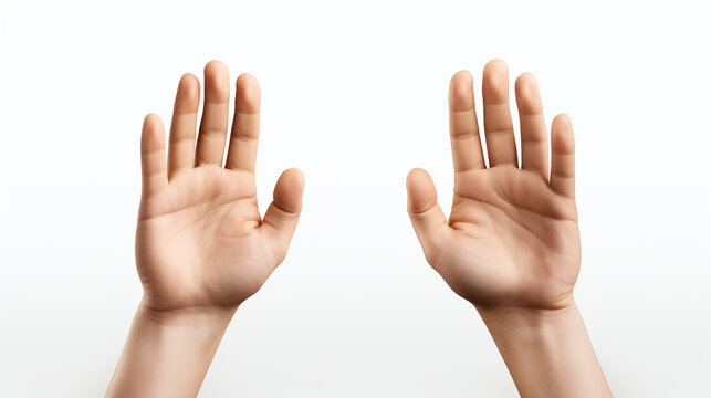 hands isolated on transparent background