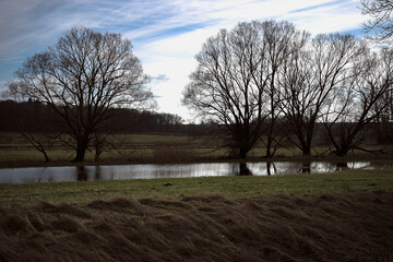 Fototapeta premium Von Schneeglöckchen, mooren und weidenkätzchen