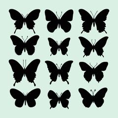 Butterfly black silhouette set. Different types of flying butterfly icons and vector illustration