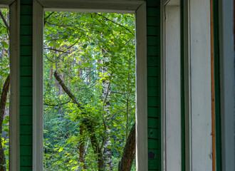 View from the window of the house to the green forest.
