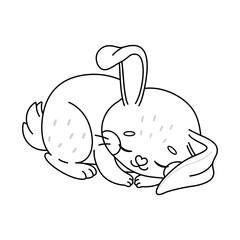 Cute bunny sleeping. Cartoon easter Bunny. Kawaii rabbit. Coloring page for kids and adults. Line art Vector illustration.