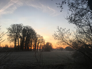 Winter landscape with sunrise, fog and sheep