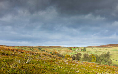 Moorland landscape with heather, fields, trees, under cloudy sky. Glaisdale, UK.