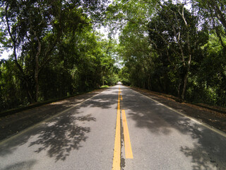 road through the forest