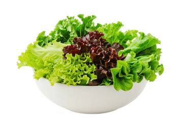 Mixed lettuce leaves in bowl