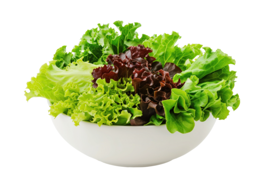 Mixed lettuce leaves in bowl