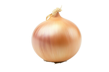 Whole onion isolated on white