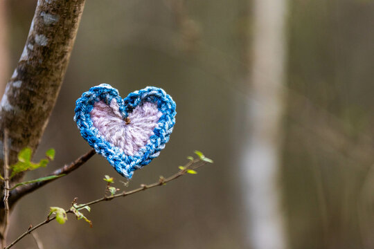 Blue and white knitted heart attached to a tree branch in the woods giving people walking through the forest a little love and reason to smile