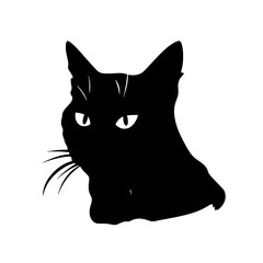 Obraz premium black cat silhouette 