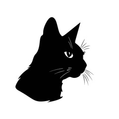 Cat sitting on tree branch silhouette 