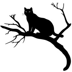 Cat sitting on tree branch