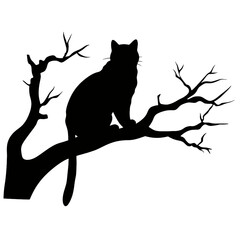 black cat on a branch