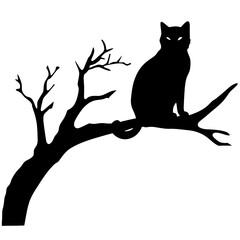 black cat on a branch