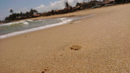 footprints on the beach