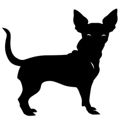 Chihuahua silhouette 