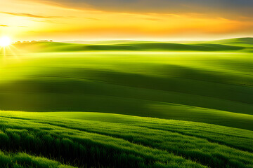Obraz premium green wheat field
