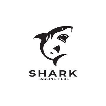 shark mascot, vector logo design template
