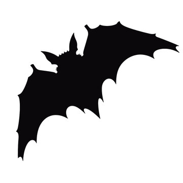 illustration of a silhouette of a bat