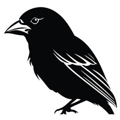 Sparrow silhouette icon