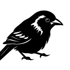 Sparrow silhouette icon