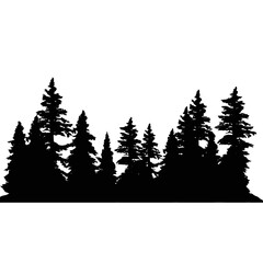 winter forest background