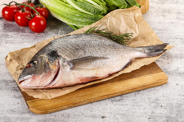 Raw dorada fish served rosemary