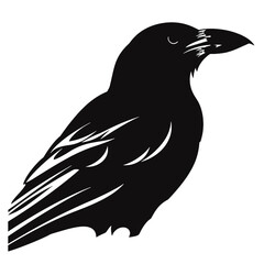 raven Silhouette
