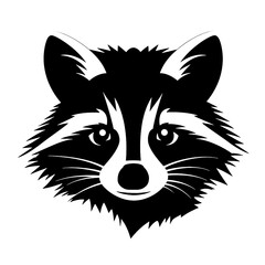 Raccoon