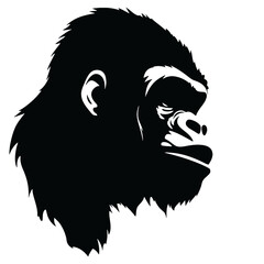 silhouette of a gorilla