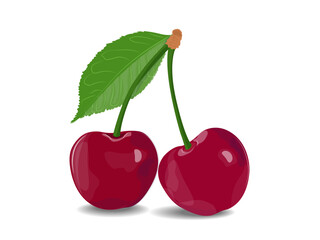 Vector illustration  cherry berry with shadow. Image of ripe cherry with leaf on  white background.