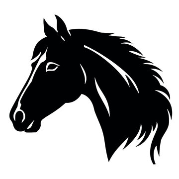 
Horse head silhouette icon in black color. Vector template.