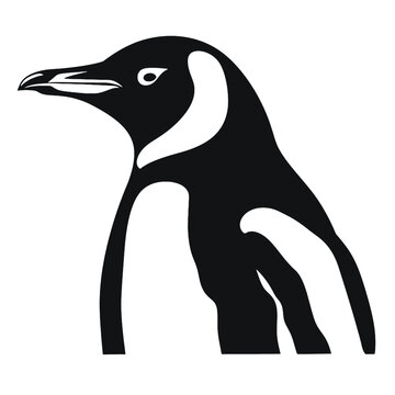 
silhouette of a penguin


