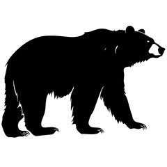 Silhouette bear isolated on white background