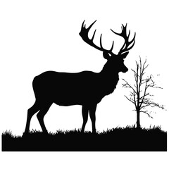 deer Silhouette 