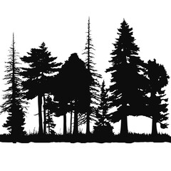 forest silhouette