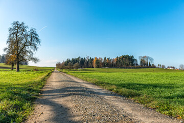 Obraz premium Feldweg mit blauem Himmel