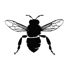 
wasp silhouette
